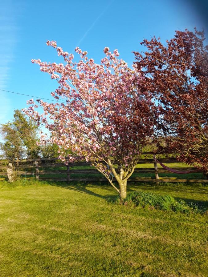 Shadowvale E34X773 Bed & Breakfast Tipperary Bagian luar foto