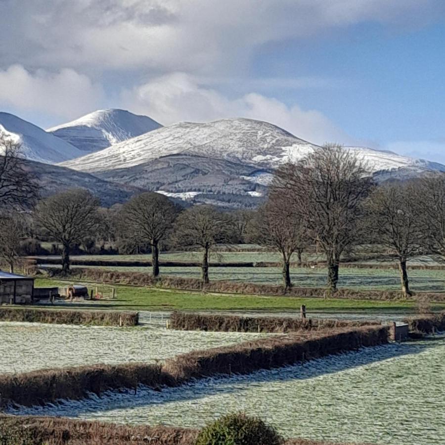 Shadowvale E34X773 Bed & Breakfast Tipperary Bagian luar foto