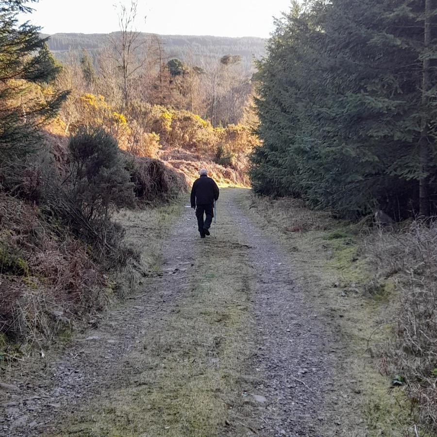 Shadowvale E34X773 Bed & Breakfast Tipperary Bagian luar foto