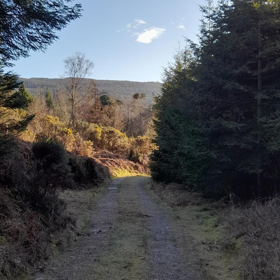 Shadowvale E34X773 Bed & Breakfast Tipperary Bagian luar foto